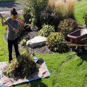 Garden Bed Maintenance